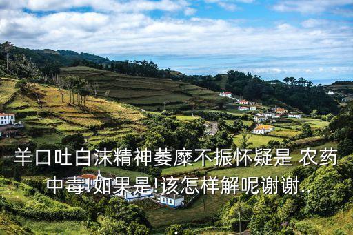 羊口吐白沫精神萎糜不振懷疑是 農藥 中毒!如果是!該怎樣解呢謝謝...