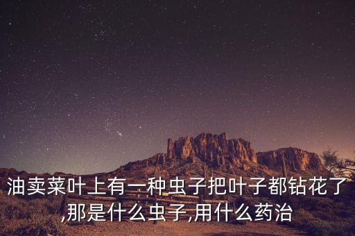 油賣菜葉上有一種蟲子把葉子都鉆花了,那是什么蟲子,用什么藥治