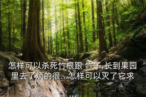 用什么農(nóng)藥能砍竹子,砍竹子一般有什么忌諱