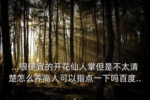 ...很便宜的開花仙人掌但是不太清楚怎么養高人可以指點一下嗎百度...
