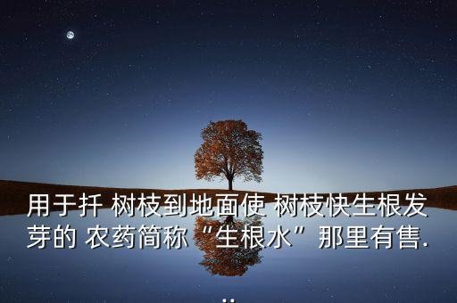 用于扦 樹枝到地面使 樹枝快生根發芽的 農藥簡稱“生根水”那里有售...