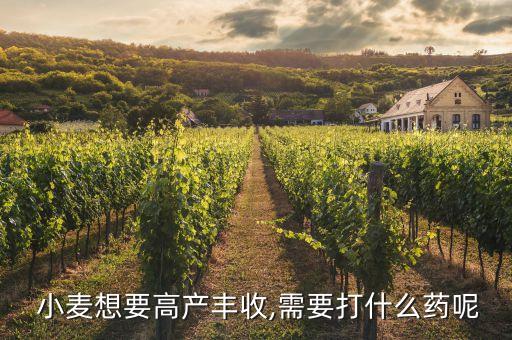 小麥用什么農藥防治好,防治小麥赤霉病農藥最佳配方