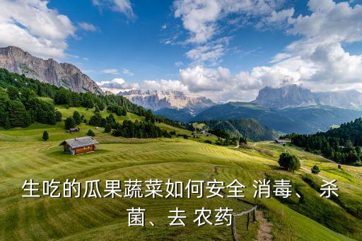 生吃的瓜果蔬菜如何安全 消毒、 殺菌、去 農藥