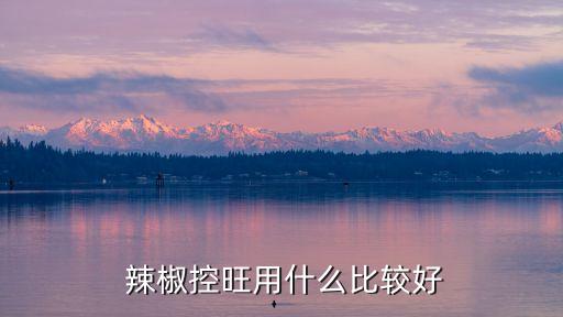 辣椒干風用什么農藥,辣椒用什么農藥比較好