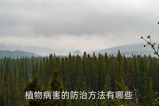 毛竹枯梢病用什么農藥