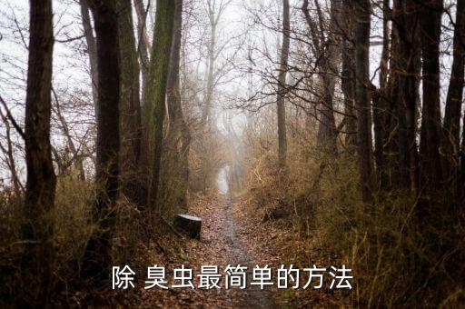 除 臭蟲最簡單的方法