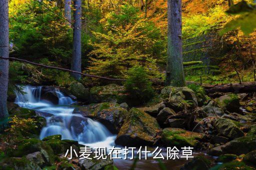 小麥辦什么樣的農藥,小麥打農藥什么時間打效果好