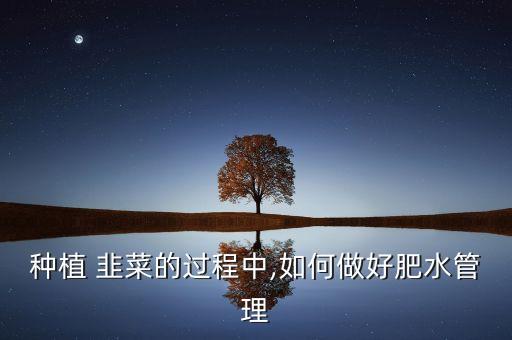 韭菜不爛根打什么農藥,韭菜爛根什么原因