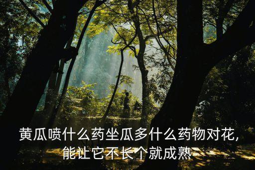 黃瓜噴什么藥坐瓜多什么藥物對(duì)花,能讓它不長(zhǎng)個(gè)就成熟