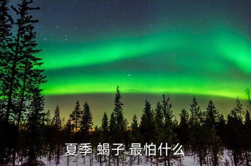夏季 蝎子 最怕什么