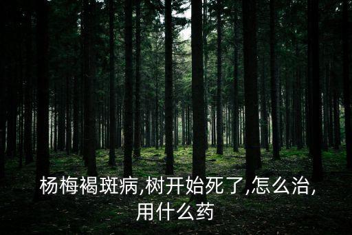 楊梅褐斑病,樹開始死了,怎么治,用什么藥