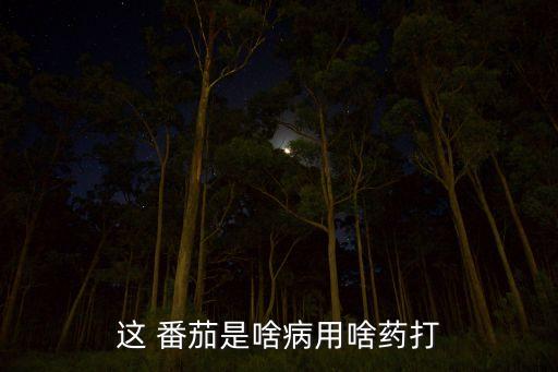 這 番茄是啥病用啥藥打