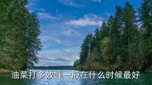 農藥安生使用的要點是什么