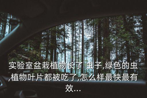 綠蟲子打什么農(nóng)藥,葉片上的蟲子用什么農(nóng)藥