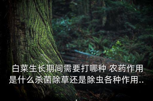 白菜病用什么農藥最好,白菜一般打什么農藥