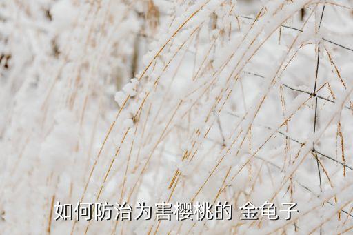 如何防治為害櫻桃的 金龜子