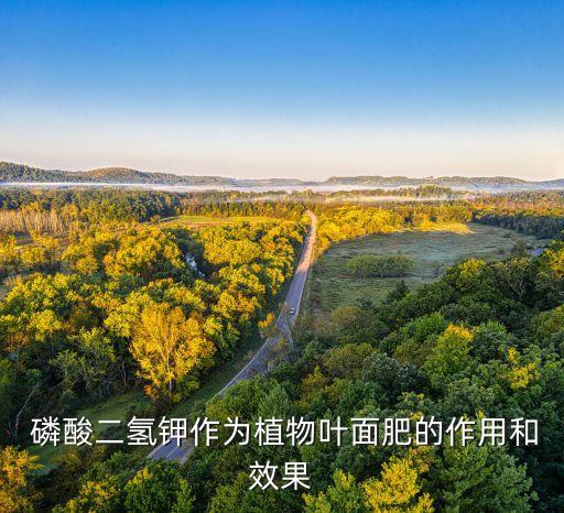 農藥酸磷酸鉀有什么作用,農藥磷酸二氫鉀的功效和作用