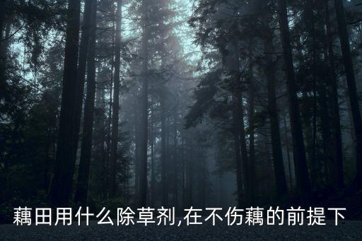 藕用什么農藥殺蟲好吃,蔬菜打什么農藥殺蟲
