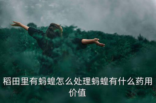 稻田里有螞蝗怎么處理螞蝗有什么藥用價值