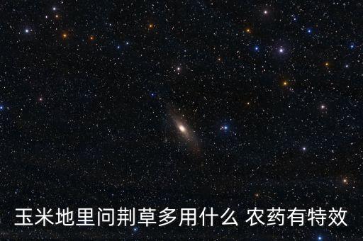 節(jié)節(jié)草什么農(nóng)藥能除根,殺節(jié)節(jié)草用什么農(nóng)藥