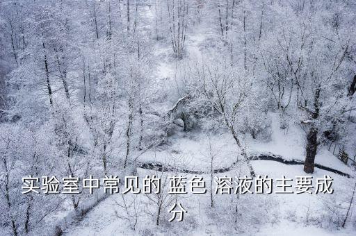 實驗室中常見的 藍(lán)色 溶液的主要成分