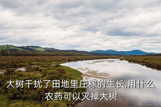 用什么農藥使小樹落花,什么農藥可以把小樹打死