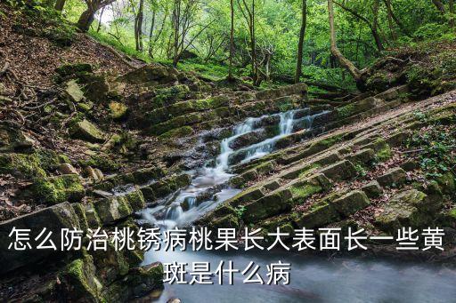 什么農(nóng)藥能使果面光亮,果面斑點(diǎn)用什么農(nóng)藥