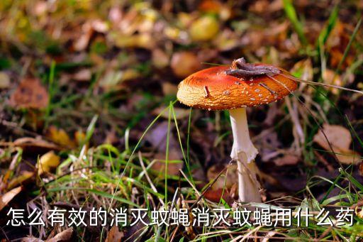 什么農(nóng)藥能驅(qū)趕蒼蠅,用什么驅(qū)趕蒼蠅效果最好