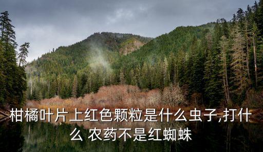 青桔子紅油打什么農藥