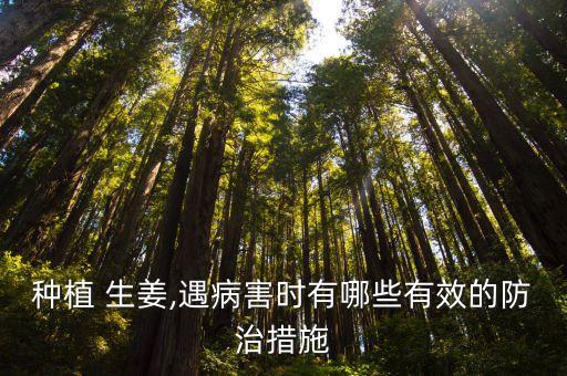 生姜?dú)⑹裁崔r(nóng)藥,生姜需要打農(nóng)藥嗎