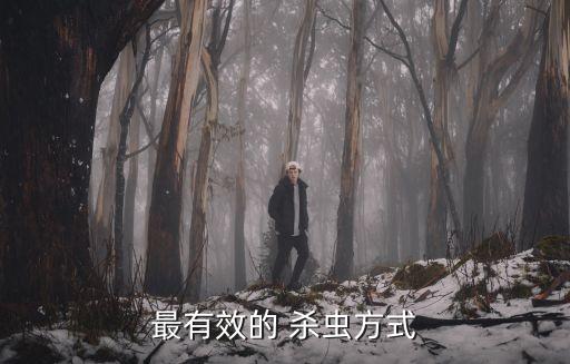 最有效的 殺蟲方式