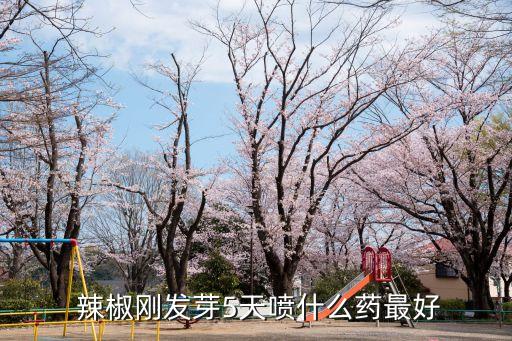 什么樣的農藥打辣椒好點,辣椒不能用什么農藥