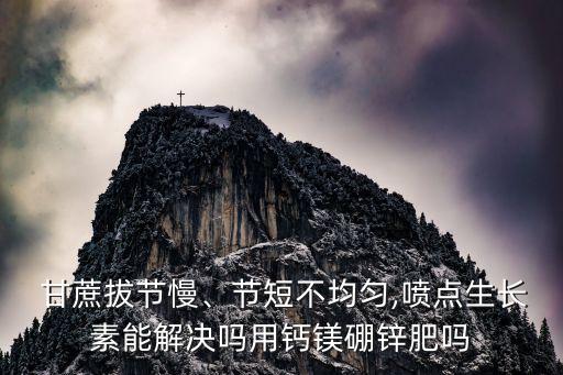 甘蔗拔節慢、節短不均勻,噴點生長素能解決嗎用鈣鎂硼鋅肥嗎