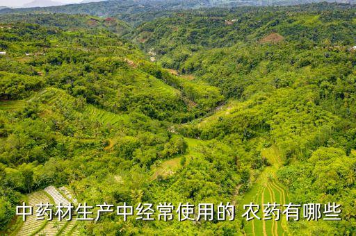 用什么農藥治玄巴蟲,3911農藥主要治什么