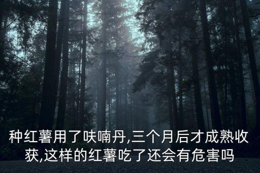 種紅薯用了呋喃丹,三個月后才成熟收獲,這樣的紅薯吃了還會有危害嗎
