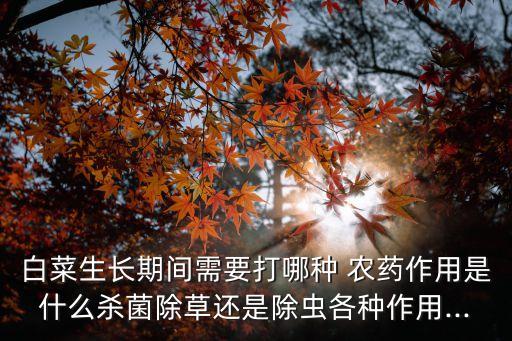 什么農藥大白菜蟲,大白菜打什么農藥最好