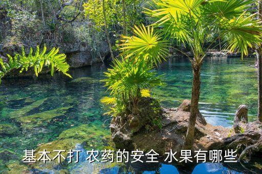 基本不打 農藥的安全 水果有哪些