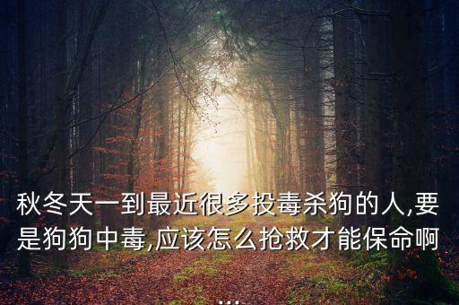 殺狗用什么農藥,舉報殺狗的打什么電話