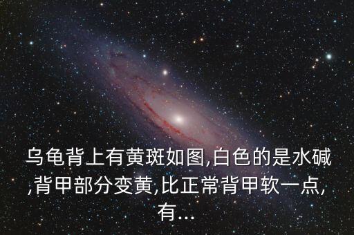 烏龜怕什么農藥圖片,烏龜最怕什么東西