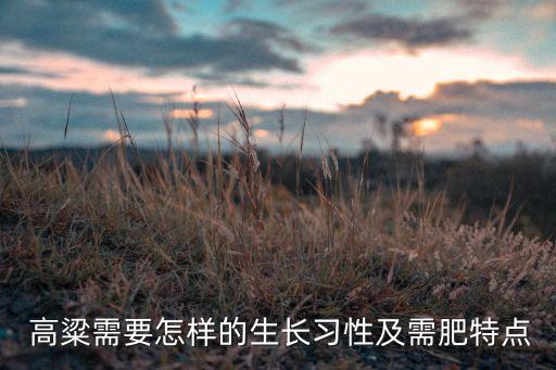 高粱在什么時間打農藥,高粱不能用什么農藥