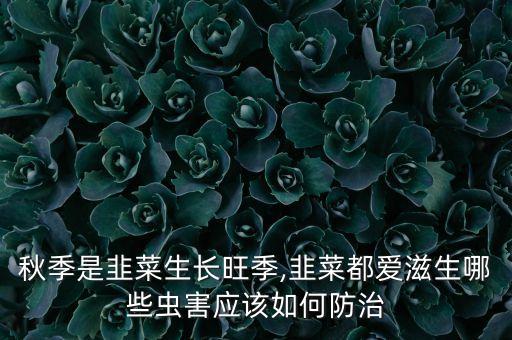 韭蟲用什么農藥好,青菜有蟲打什么農藥好