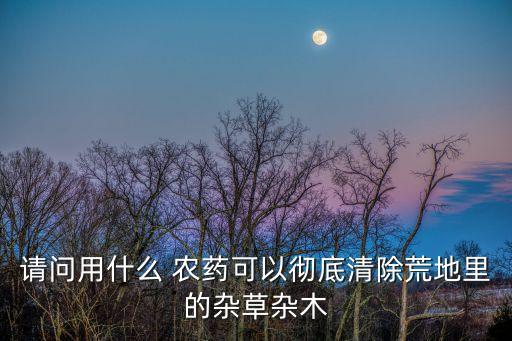 請(qǐng)問用什么 農(nóng)藥可以徹底清除荒地里的雜草雜木