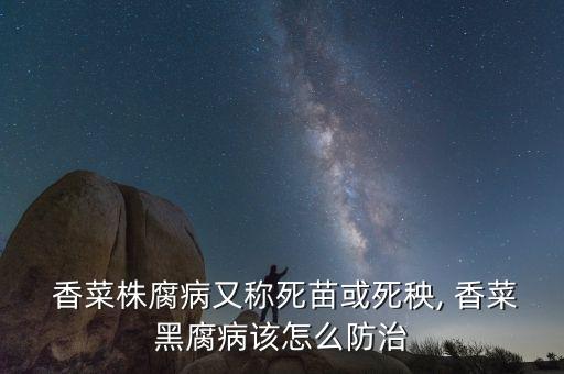  香菜株腐病又稱死苗或死秧, 香菜黑腐病該怎么防治