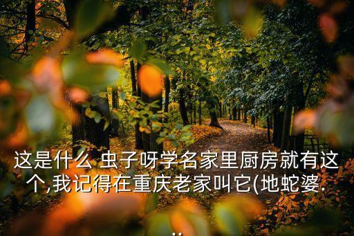 這是什么 蟲子呀學名家里廚房就有這個,我記得在重慶老家叫它(地蛇婆...