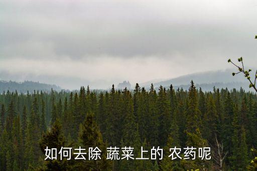 如何去除 蔬菜上的 農藥呢