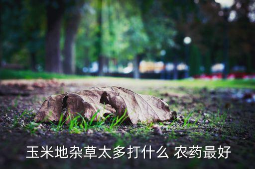 玉米用什么農(nóng)用農(nóng)藥,什么農(nóng)藥能殺死玉米苗