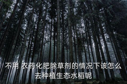 不用 農藥化肥除草劑的情況下該怎么去種植生態水稻呢