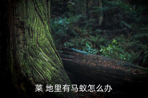 萊 地里有馬蟻怎么辦
