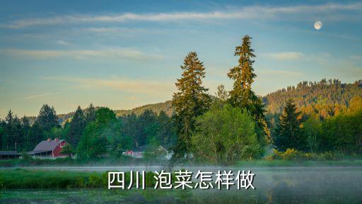 四川 泡菜怎樣做