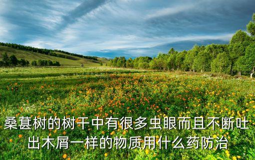 桑葚樹的樹干中有很多蟲眼而且不斷吐出木屑一樣的物質用什么藥防治